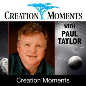 Creation Moments